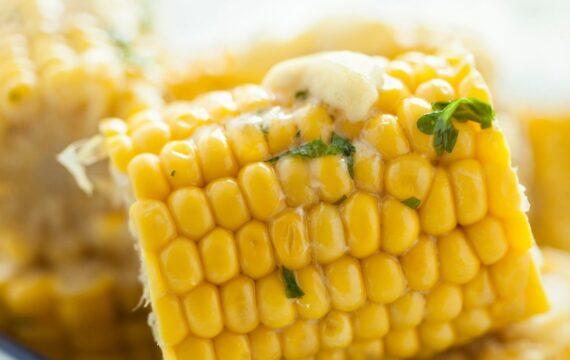 Fourseason-STEAM CORN