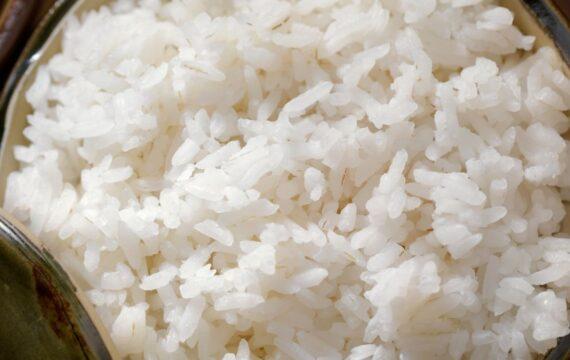 Fourseason-STEAM RICE